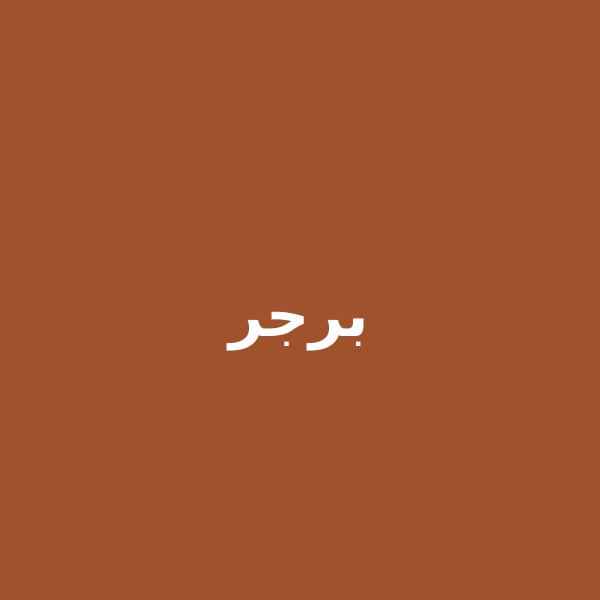 برجر كلاسيك